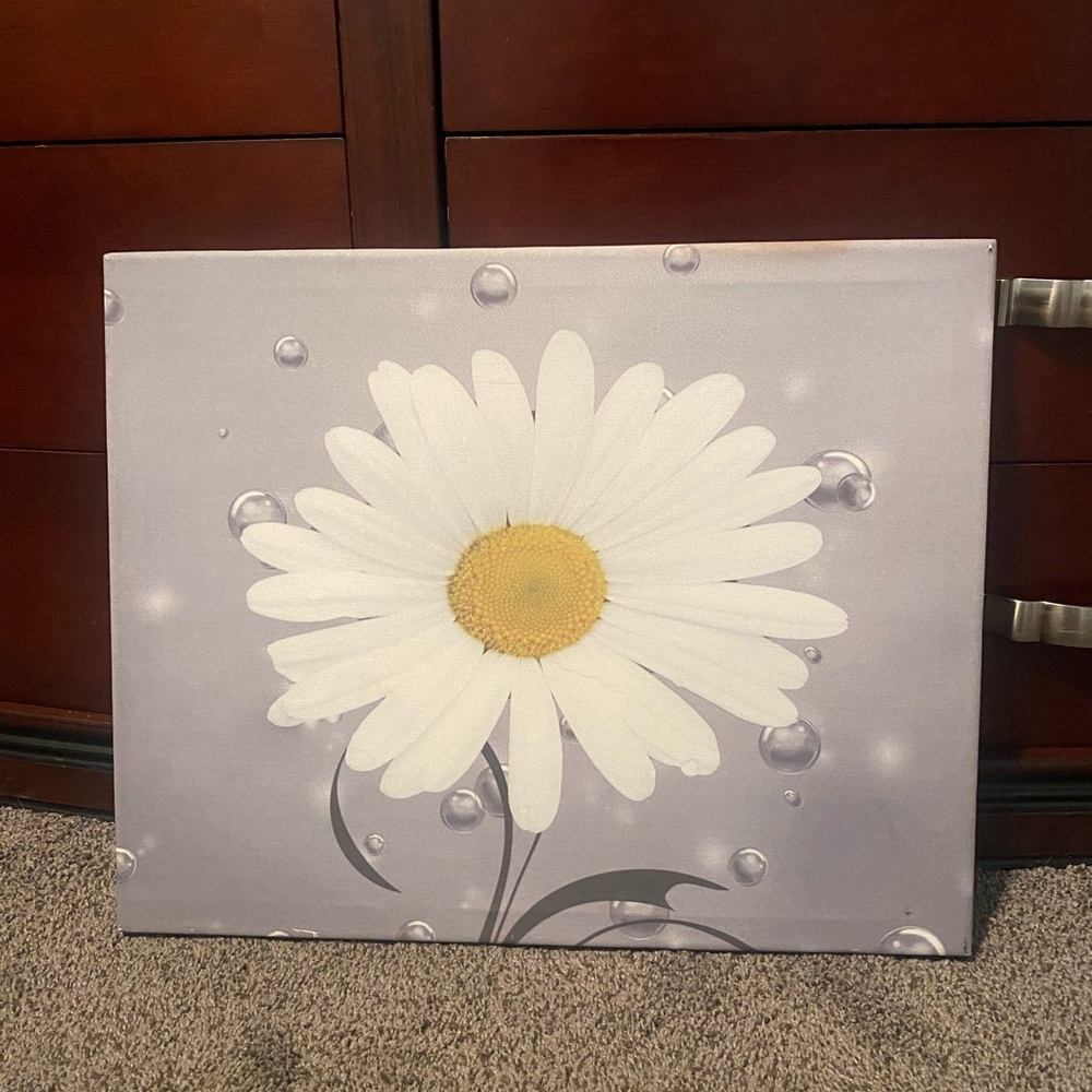 Raindrop daisy canvas